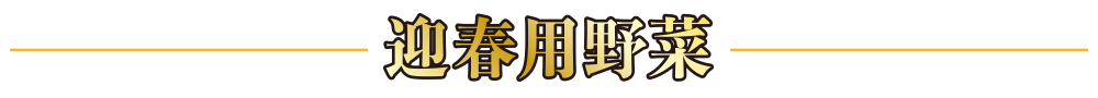 迎春用野菜