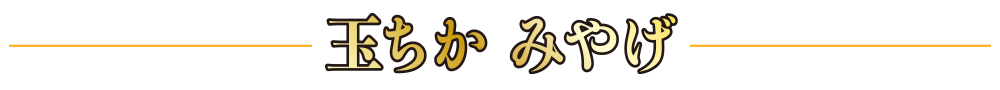 玉ちか みやげ