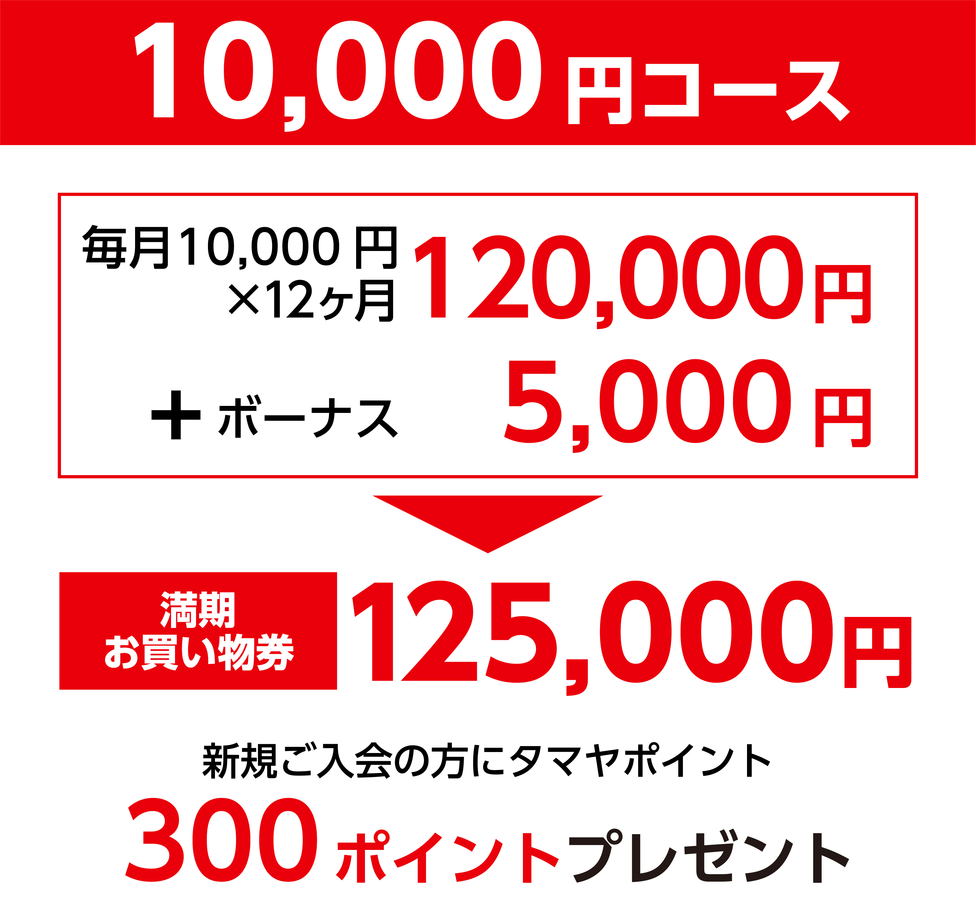 10,000円コースのプラン詳細