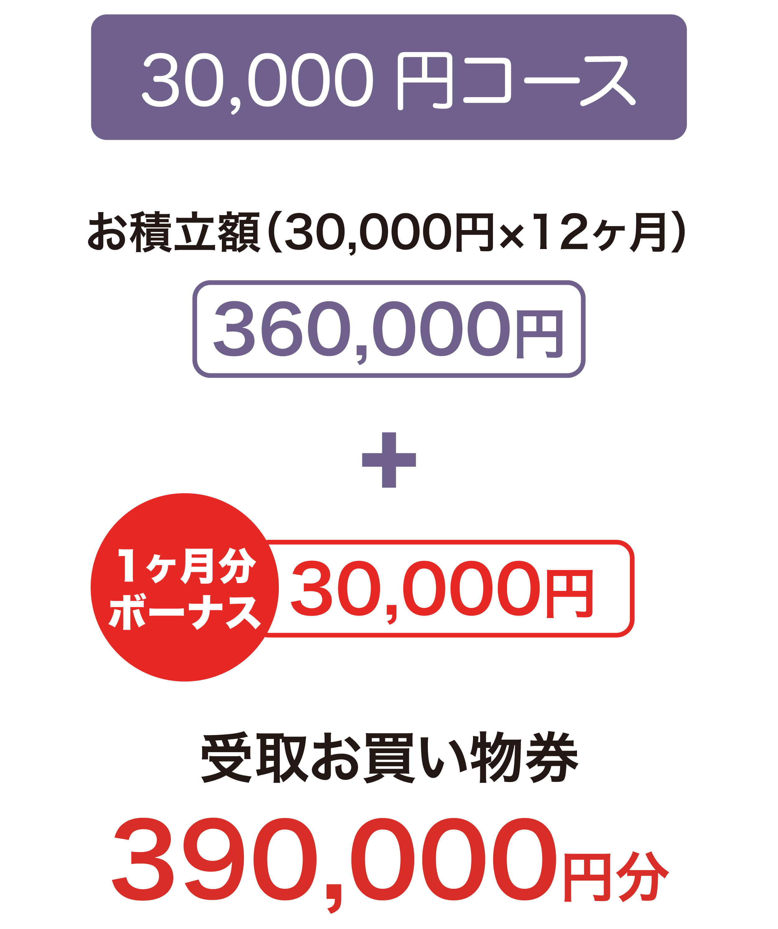 30,000円コースのプラン詳細