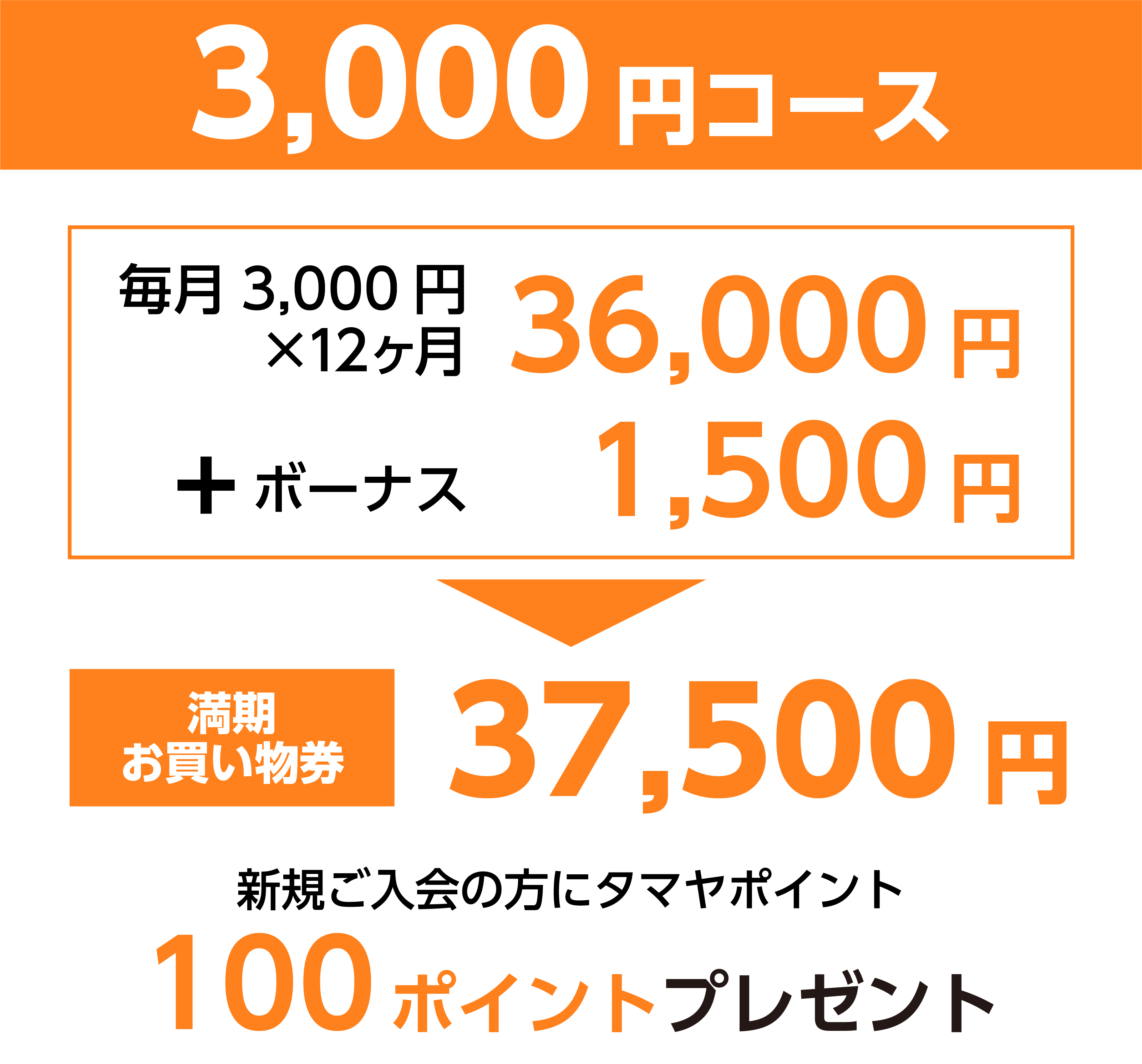 3,000円コースのプラン詳細