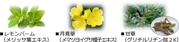 エモセラ モイストヴェールパウダー