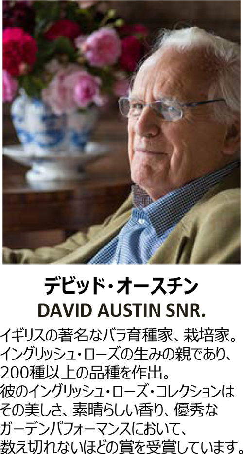 ハウスオブローゼ　ジュビリーローズ